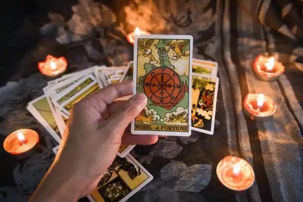 tarot cards Jackson